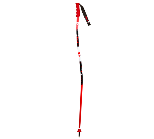 GS Ski Pole Senior