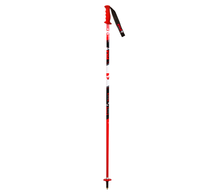 SL Ski Pole Senior