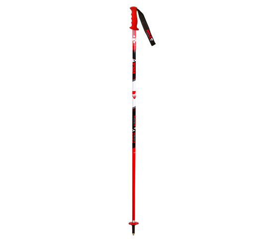 SL Ski Pole Senior